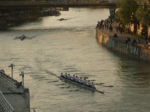 2015_wienerachter_008