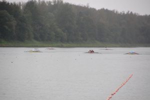 2016_oem_018